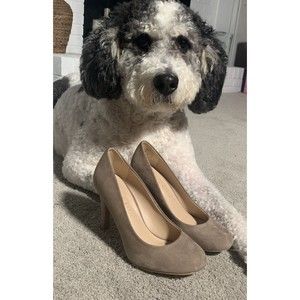 Kelly and Katie Larrissa Pump Heels, Womens Suede Taupe Closed Toe Size 6